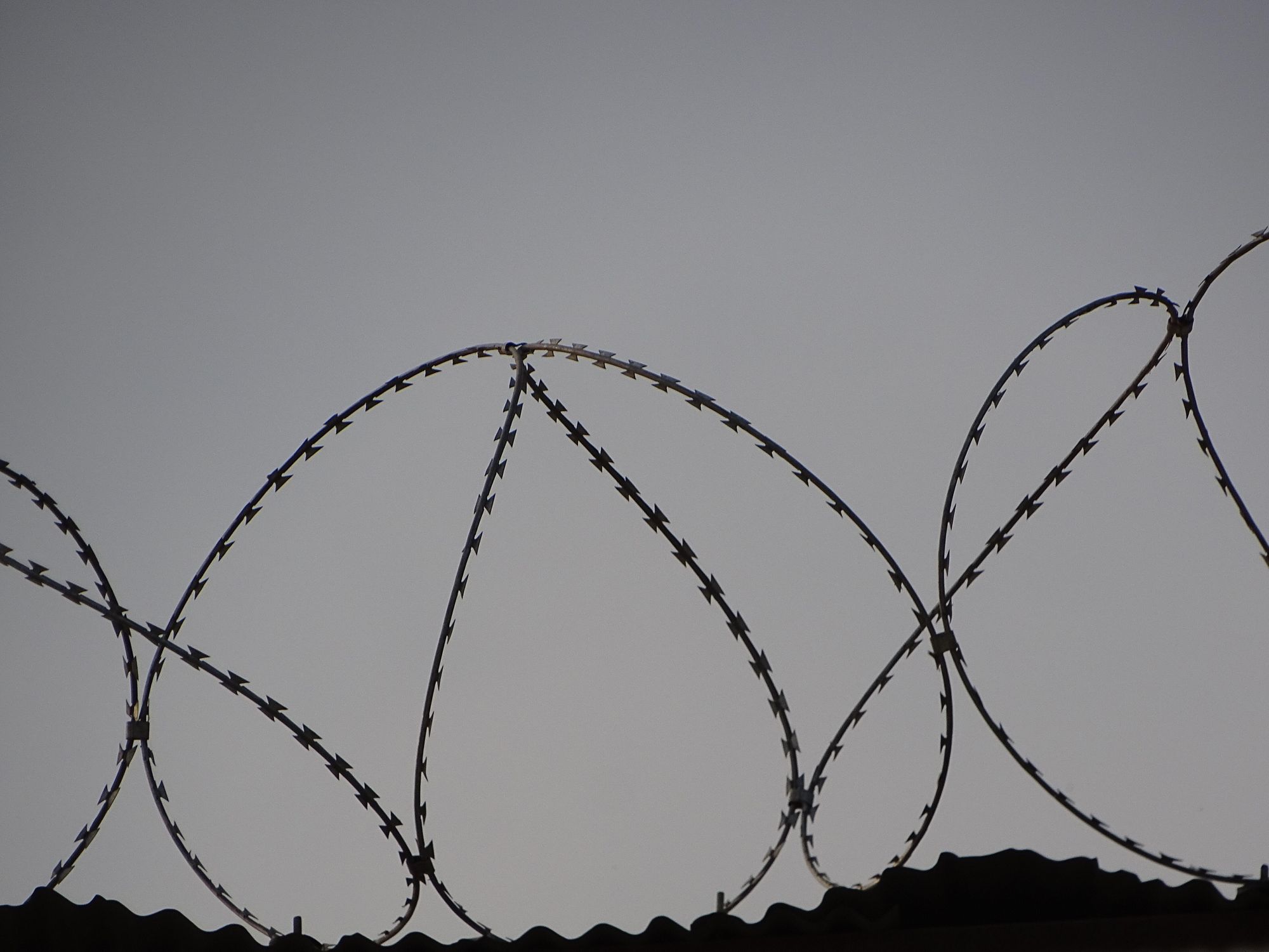 The Abolitionist Necessity: Sexual and Gender-Based Violence in the Canadian Prison System
